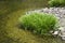 Japan Himeji Himeji Koko-en Gardens stream close-up