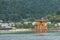 Japan : Itsukushima Shinto Shrine