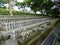 JAPAN. Kamakura. Hase-dera temple