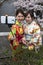 Japan, Kyoto, 04/05/2017. Young Japanese girls in kimono take a selfie on the background of sakura