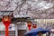 Japan, Kyoto, 04/07/2017. Hanami celebration in a Japanese park