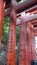 Japan - Kyoto - Inari Shrine