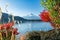 Japan Mount Fuji and Kawaguchiko Lake Autumn View