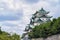 Japan Nagoya Castle,Japan Castle in Nagoya. Summer day. Famous Japanese castle with a green roof