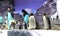 JAPAN, OSAKA - 29 March, 2019: Staff of Osaka Aquarium Kaiyukan feeds penguins