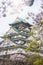 Japan Osaka castle with cherry blossom. Japanese