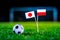 Japan - Poland, Group H, Thursday, 28. June, Football, World Cup