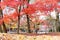 Japan red maple leaves in japanese garden, Eikando Temple Kyoto, Japan autumn season