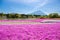 Japan Shibazakura Festival with the field of pink moss of Sakura or cherry blossom with Mountain Fuji Yamanashi, Japan