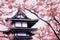 the Japan spring landscape. Cherry blossoms