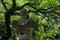 Japan, Tokyo, Ueno Toshogu Shrine, Buddhism, for lights, stone lanterns