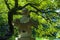 Japan, Tokyo, Ueno Toshogu Shrine, Buddhism, for lights, stone lanterns