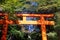 Japan torii gate near the tree with green and yellow