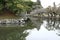 Japan tourist guide information. \\\'Hikone Castle\\\' and \\\'Genkyuen- garden\\\'