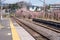 Japan train station and cherry blossoms