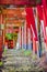 Japan Traveling. Traditional Red Torii Gates with Walkway at Koyasan Mountain Shrine in Japan in Fall