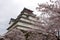 Japan : Tsurugajo Castle in Spring