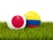 Japan vs Colombia. Soccer concept. Footballs with flags on green