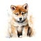 Japanese akita puppy portrait. Stylized watercolour digital illustration of a cute dog with big eyes