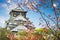 Japanese ancient castle in Osaka, Japan