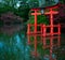 Japanese Ancient Gate