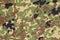 Japanese armed force flecktarn camouflage