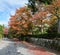 Japanese autumn garden in Tenryuji temple during autumn season i