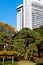 Japanese autumn park and skyscraper