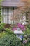 Japanese backyard garden. Oriental background
