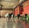 Japanese ballet dancers practice performance in an aciant temple in Japan