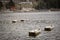 Japanese Boats in lakes in Hakone