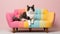 Japanese Bobtail Playing In Candy-colored Bed