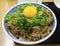 Japanese Boiled meat rice with onion