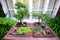 Japanese Bonsai Miniature Trees