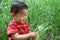 Japanese boy blowing dandelion seeds