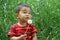 Japanese boy blowing dandelion seeds