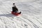 Japanese boy on the sled