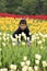 Japanese boy and tulips