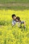 Japanese brother and sister and field mustard