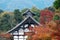 Japanese building in autumn leaves