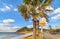 Japanese bus stop sign in english along the Palm Beach of the Sakurai Futamigaura coast of Fukuoka.