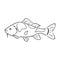 Japanese carp koi character abstract ink hand drawn vector logo cartoon. Retro illustration. Freshwater river and pond