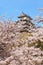 Japanese castle and Beautiful flower