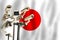 Japanese CCTV camera on the flag of Japan Surveillance, security, control and totalitarianism concept