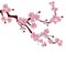 Japanese cherry tree. A branch of pink cherry blossom. on white background. illustration