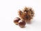 Japanese chestnuts on a white background