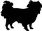 Japanese Chin silhouette black