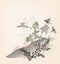 Japanese chinese vector design ink flower engraved colorful card bakground landscape birds grass