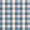 Japanese Classic Checkered Vector Seamless Pattern