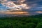 Japanese countryside aerial sunset landscape with tea plantations and mount Fuji